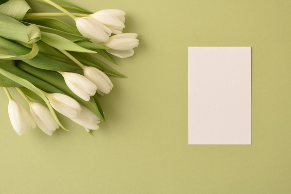 White Tulips and Piece of Paper